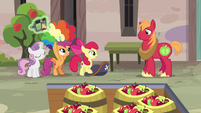 Cutie Mark Crusaders removing their disguises S7E8