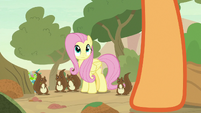 Fluttershy and squirrels look at Applejack S8E23