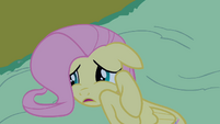 Fluttershy frightened on the ground S2E04