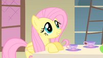Fluttershy talking to the Princess S01E22