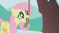 Fluttershy using bells strung on a rope S1E11
