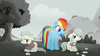 Rainbow Dash "so you're the fan club?" MLPRR