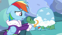 Rainbow Dash -I'm sure gonna miss you- S5E5