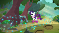 Rarity tells Rainbow Dash to slow down S8E17