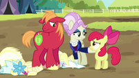 Registration pony "not just unbecoming of a lady" S5E17