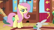 Resolute Fluttershy S2E19