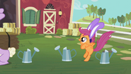 S02E12 Scootaloo skacze