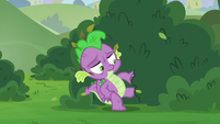 Spike coming out of the bushes S8E24