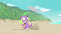 Spike sees Rarity's blanket blowing away EGFF