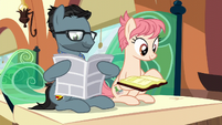 Stallion reading newspaper; mare reads a book S6E3