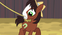 Young Trouble Shoes looking at his cutie mark S5E6