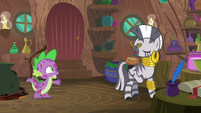 Zecora "perhaps we can lessen this" S8E11