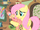 A Bird in the Hoof 16 9.png