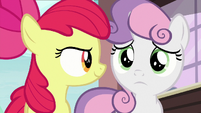 Apple Bloom and Sweetie look at each other S9E12