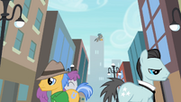 Ponies doing their business S4E8