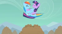 Rainbow Dash and Twilight collide head on.