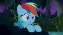 Rainbow Dash worried for Daring Do S4E04