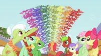 Rainbow of fruit bats 2 S03E08