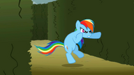 S02E01 Rainbow Dash gotowa do walki