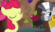 S06E04 Apple Bloom i efekt jej pracy