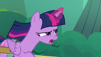 Twilight Sparkle "out of the question!" S7E3