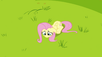 Very Sad Fluttershy on the Ground S02E22