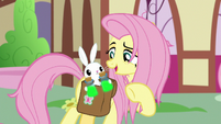 Fluttershy "not yet, Angel" S9E18