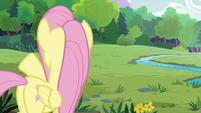 Fluttershy "with a gate in the back" S7E5