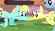 Helia and Parasol hoof-bump while doing wing-ups S4E24