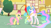 Princess Celestia shows Philomena to Fluttershy S01E22