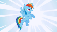 "They see RAINBOW DASH."