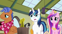 Shining Armor and Cadance looking at shield stand S7E3