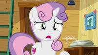 Sweetie "what is it that the Cutie Mark Crusaders actually do?" S6E4
