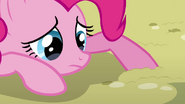 TooManyPinkiePies-2012-11-17-20h59m33s70