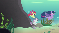 Twilight and CMC follow Terramar to Seaquestria S8E6