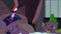 Bird singing while perched on Twilight's horn S5E10