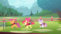 The girls, running happily in Fluttershy's yard.