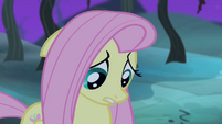 Fluttershy confused S4E07