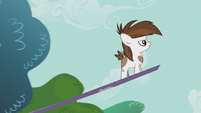 Pipsqueak on a seesaw looking determined S5E18