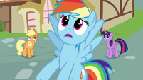 Rainbow Dash "I should've been honest with you" S7E23