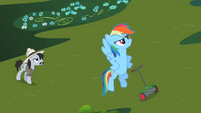 Rainbow Dash 'I have just saved that grass' S2E08