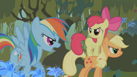 Rainbow Dash 'are the ones who better' S01E09