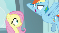 Rainbow Dash yelling at Fluttershy S9E21