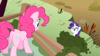 Rarity, Do something! S2E19