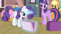 Rarity opens one of her bags S4E08