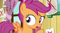 Scootaloo "And we always will be!" S6E4