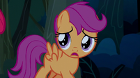 Scootaloo "what are you saying?" S5E6