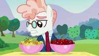 Svengallop looks at yellow cherries S5E24