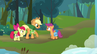 Applejack informing Scootaloo that Rainbow Dash will be meeting them S3E06