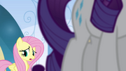 Fluttershy "almost every day" EG